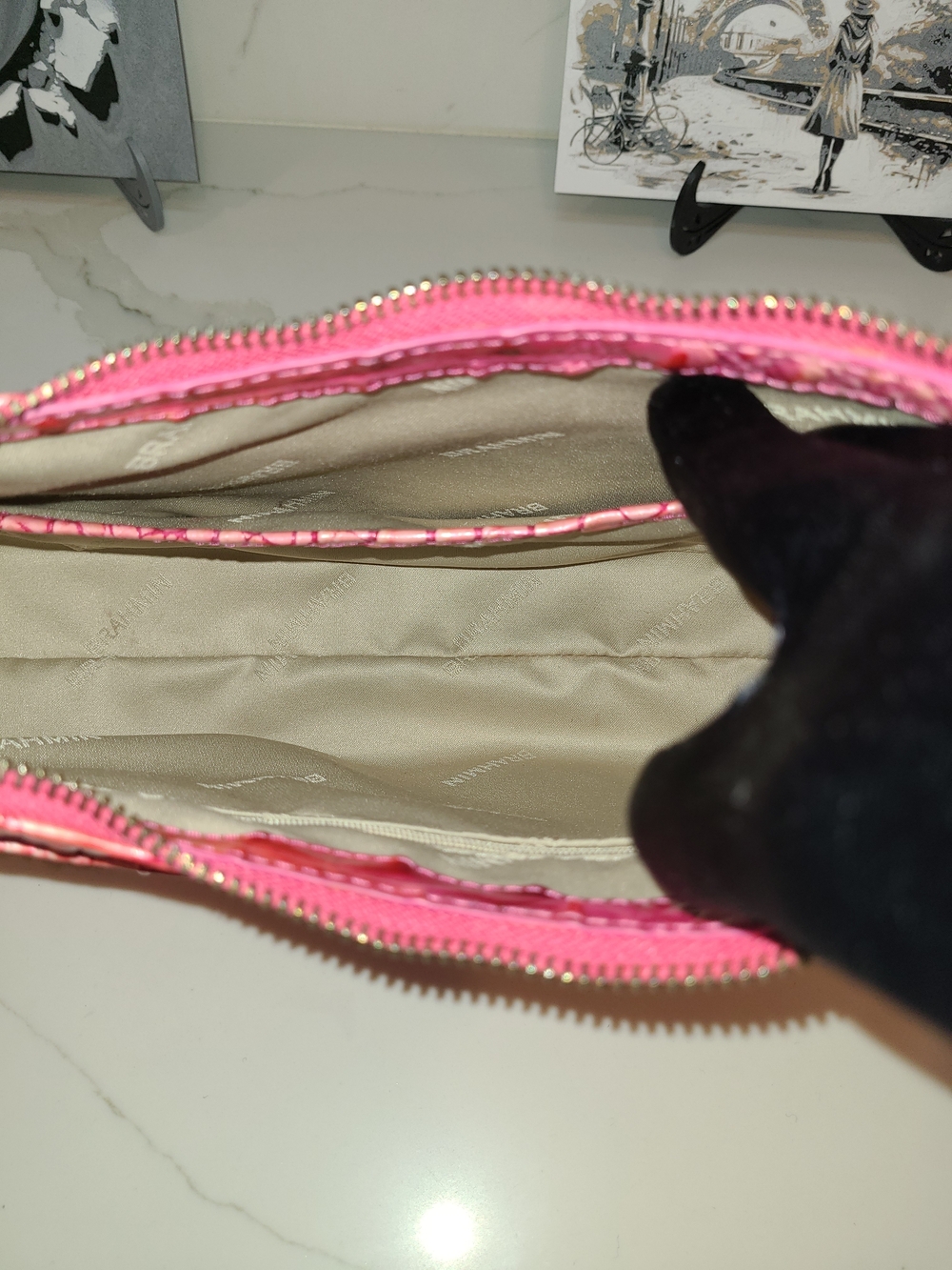 Brahmin Esme Cupid Ombre Melbourne - Picture 11 of 14